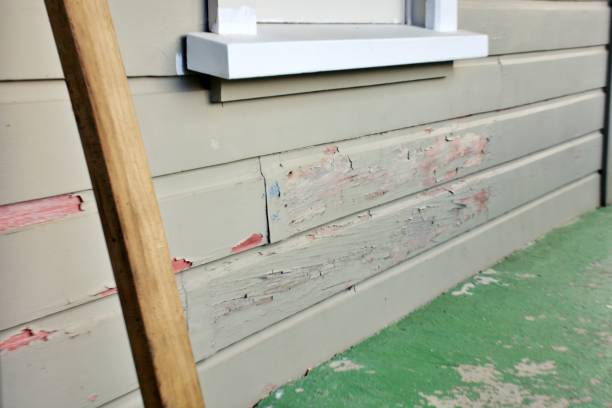 Professional Siding Installation & Repair in Killian, LA